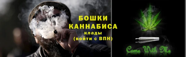 гашик Белокуриха