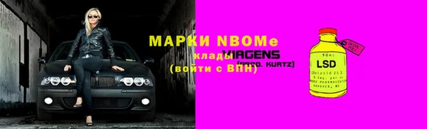гашик Белокуриха