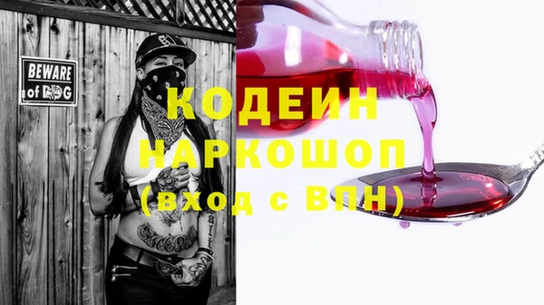 гашик Белокуриха