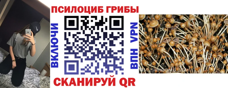 Псилоцибиновые грибы GOLDEN TEACHER  Енисейск 